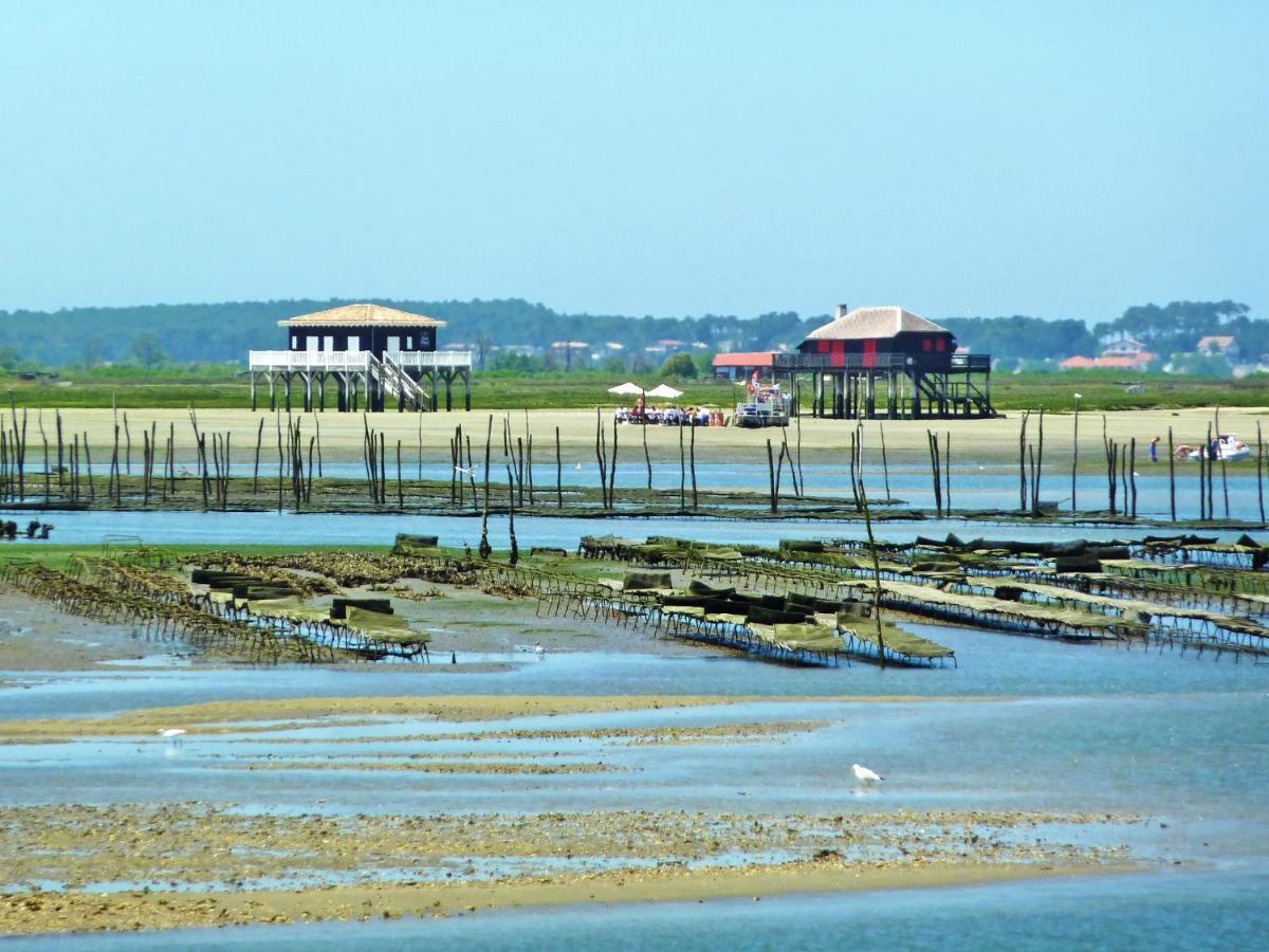 Apartment Les Tamaris By Interhome Arcachon Exteriör bild